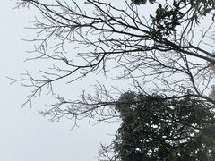 -张家界天门山国家森林公园