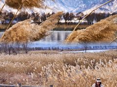 -野鸭湖国家湿地公园