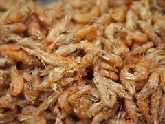 炸虾-紫光园清真北京小吃(广渠门内店)
