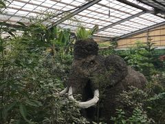 -呀路古热带植物园-恐龙馆