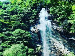 -少华山国家森林公园