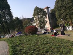 -铁山坪森林公园