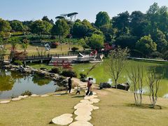 -铁山坪森林公园