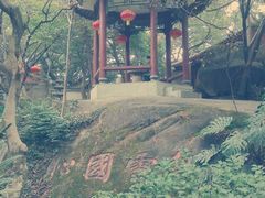 -乌山风景区