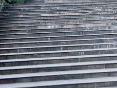 -缙云山景区
