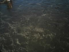 -台山黑沙湾海浴场