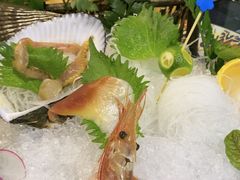 -森味薪火烧•烧鸟居酒屋•日本料理(望京店)