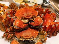 -王宝和酒家(黄浦店)