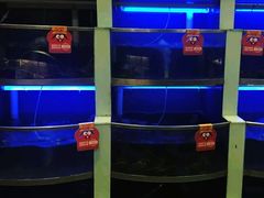 水产区-七欣天香辣蟹火锅(苏州东大街店)