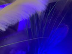 -绿茶餐厅(燕郊永旺店)