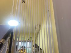 -Meowの猫咖(万家丽店)