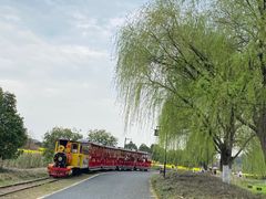 -径山花海