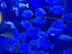 -上和臻品中国菜(花园街店)