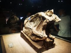 -自贡恐龙博物馆