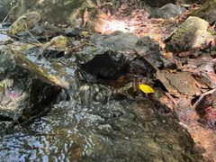 -夏霖九天银瀑风景区