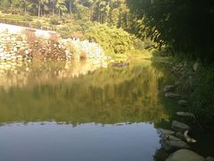 android_upload_pic-旺山景区