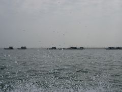 -北海金海湾红树林生态旅游区