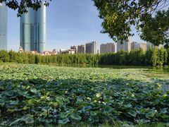 -艾溪湖湿地公园