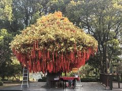 -狼山风景名胜区