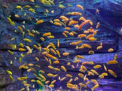 -多彩贵州城极地海洋世界