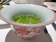 -觀芷隐轩
