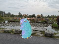 -泗洪洪泽湖湿地景区