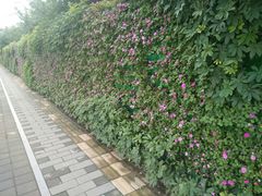 -陕西省游泳跳水馆