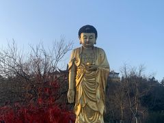 -冶父山国家森林公园