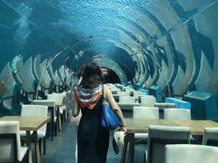 -海棠湾洲际-涛·海底餐厅·美人鱼·自助餐·海底隧道