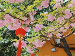 -龙华寺