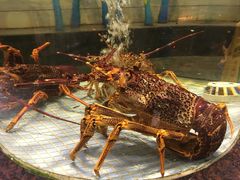 -新海利海鲜城·41年珠海老字号(夏湾店)