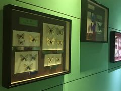 -上海昆虫博物馆