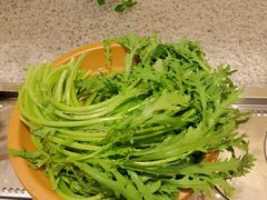 -喜家自助小火锅(乐客城店)