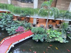 -广州白天鹅宾馆