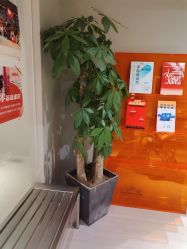 -YASAKI国际舞蹈中心