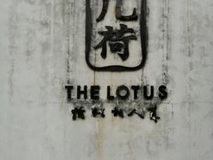 -几荷·恰似故人来(秀水广场店)