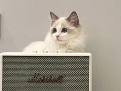 -贝康宠物医院·犬猫全科·小动物特色诊疗中心(东环路店)