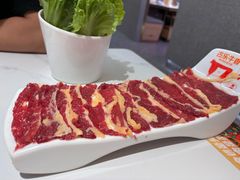-古乐牛香•鲜牛肉牛杂火锅(系马桩总店)