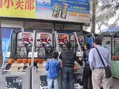 -万绿园
