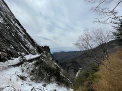 -朱雀国家森林公园
