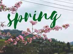 -樱桃山旅游景区