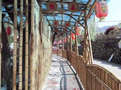 -龙岩森林水乡景区