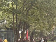 -西苑公园