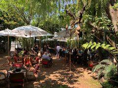-Fern Forest Cafe