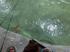 -光头佬钓虾场·烧烤·聚餐·亲子(金沙洲店)