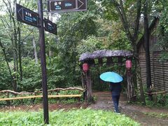 -五营红松林海景区