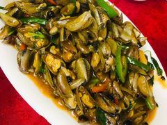 海瓜子-蛇口康乐快餐鱼仔档(翠苑小区店)