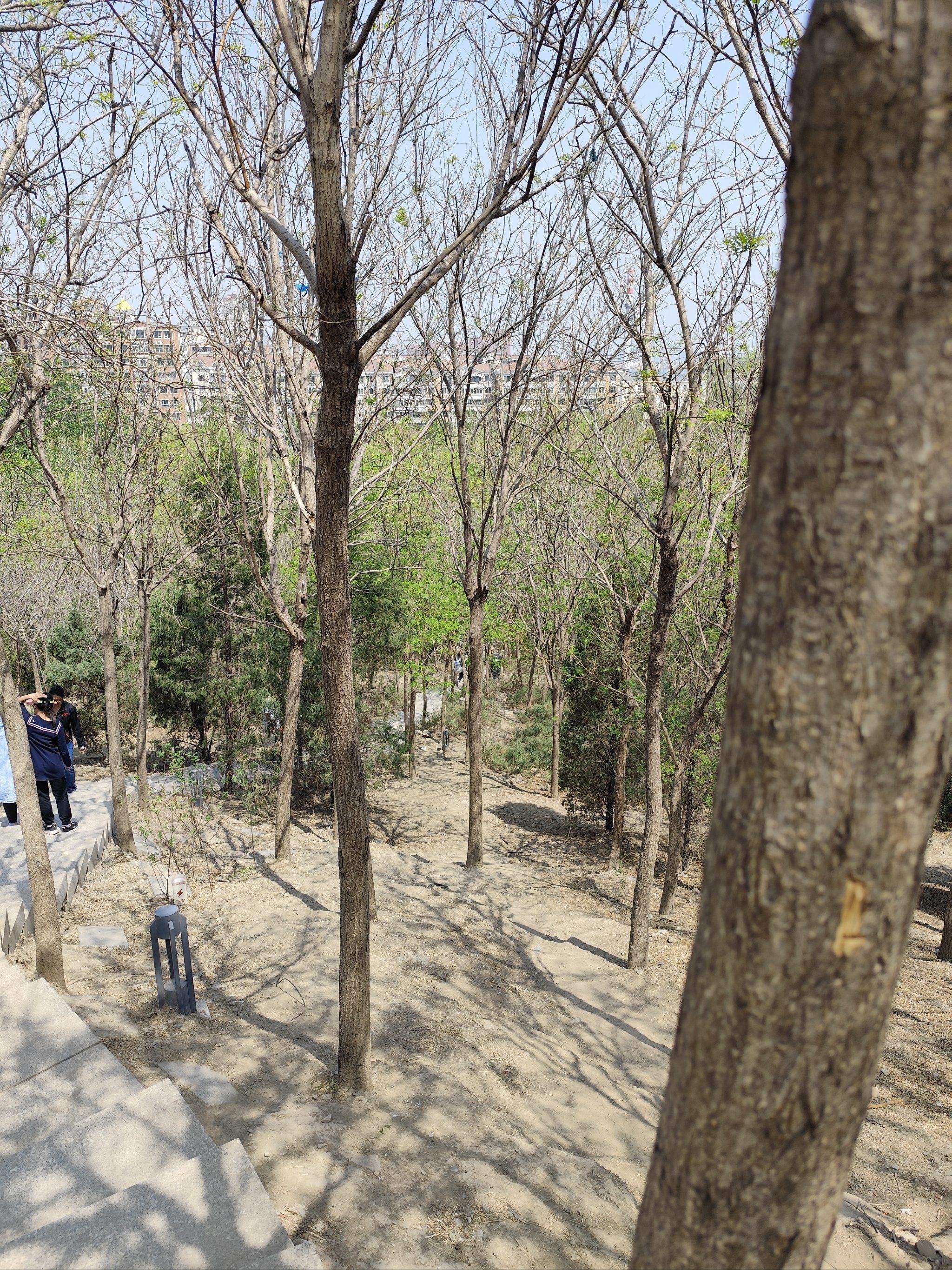 南翠屏公园的小山坡