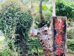 -野象谷景区