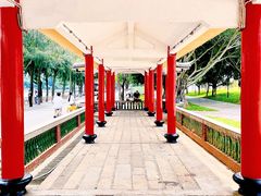 -集美学村